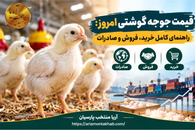 قیمت جوجه گوشتی امروز_ راهنمای کامل خرید، فروش و صادرات. قیمت جوجه گوشتی امروز_ راهنمای کامل خرید، فروش و صادرات.