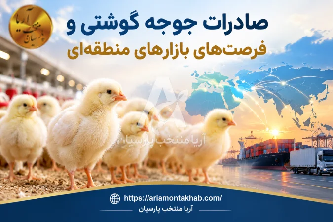 صادرات جوجه گوشتی و فرصتهای بازارهای منطقهای صادرات جوجه گوشتی و فرصتهای بازارهای منطقهای